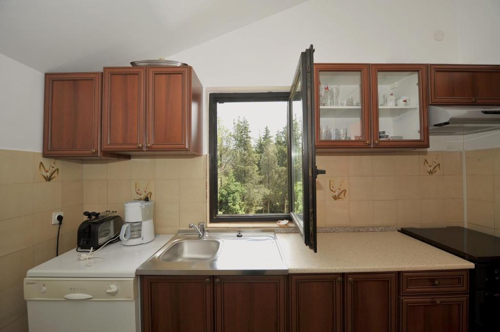 House Mitic Apartman Rovinj